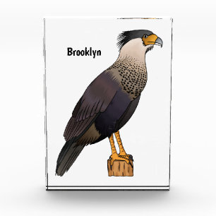 Bloque Para Fotos Ilustración de caricatura de ave caracara crestada