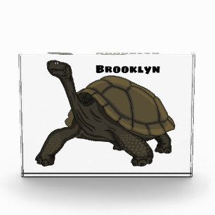 Bloque Para Fotos Ilustracion de tortugas terrestres de Galápagos