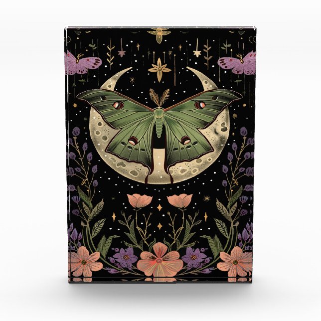 Bloque Para Fotos Ilustracion del cielo nocturno gótico (Anverso)