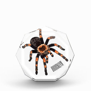 Bloque Para Fotos Ilustracion personalizado de Tarantula