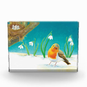 Bloque Para Fotos Ilustracion Robin Bird, nieve y gotas de nieve