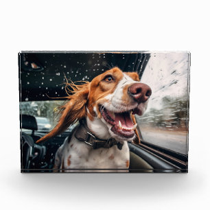 Bloque Para Fotos Impresión artística de perro emocionado en un pase