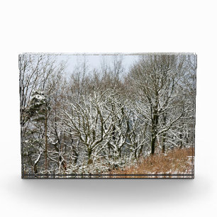 Bloque Para Fotos Impresión de lienzo de tarjetas de bosque Macclesf