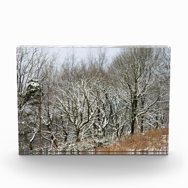 Bloque Para Fotos Impresión de lienzo de tarjetas de bosque Macclesf (Anverso)