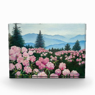 Bloque Para Fotos Impresión paisajística de pintura de aceite de f