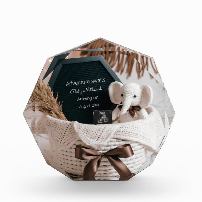 Bloque Para Fotos Invitación de embarazo neutra Boho pampas (Anverso)