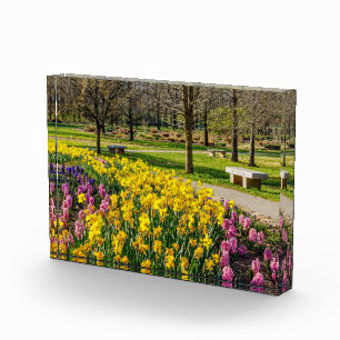 Bloque Para Fotos Jardín de flores de la temporada de primavera