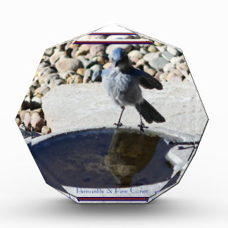 Bloque Para Fotos Joven y poderoso pájaro azul viéndose a sí mismo e