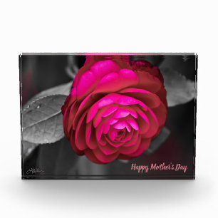 Bloque Para Fotos La camellia rosada feliz día de la madre
