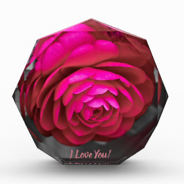Bloque Para Fotos ¡La Camellia Rosy te amo!