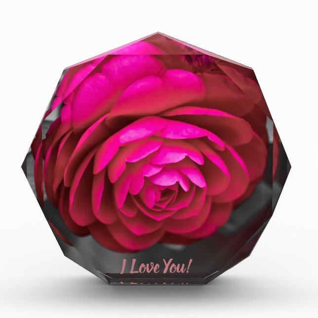 Bloque Para Fotos ¡La Camellia Rosy te amo! (Anverso)