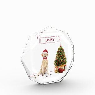 Bloque Para Fotos Labrador amarillo recuperó a divertidos Navidades 