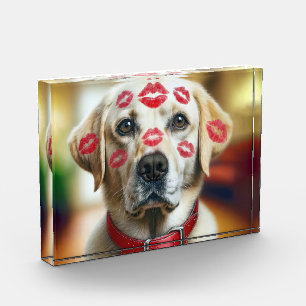 Bloque Para Fotos Labrador recuperador con besos de lápiz labial