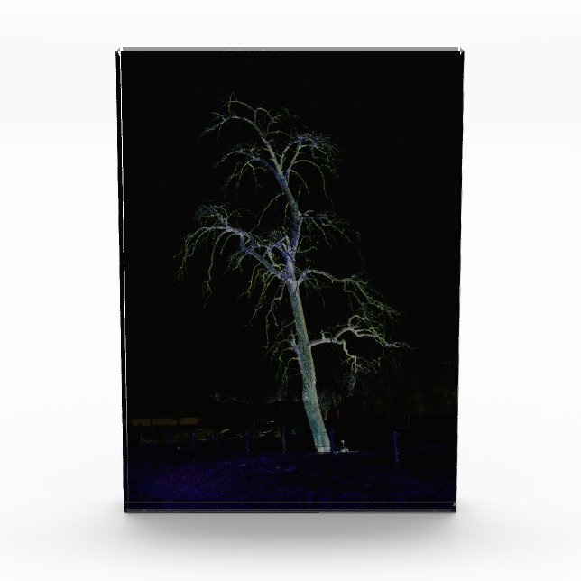 Bloque Para Fotos Lado oscuro 8 pbcna (Anverso)