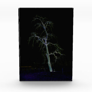 Bloque Para Fotos Lado oscuro 8 pbcnm