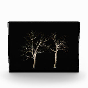 Bloque Para Fotos Lado oscuro 9 pbcna