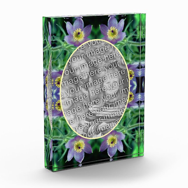 Bloque Para Fotos Las Flores Púrpura Pasque Crean Las Propias (Izquierda)