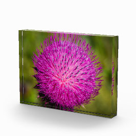 Bloque Para Fotos Leche con el cardo cerrado