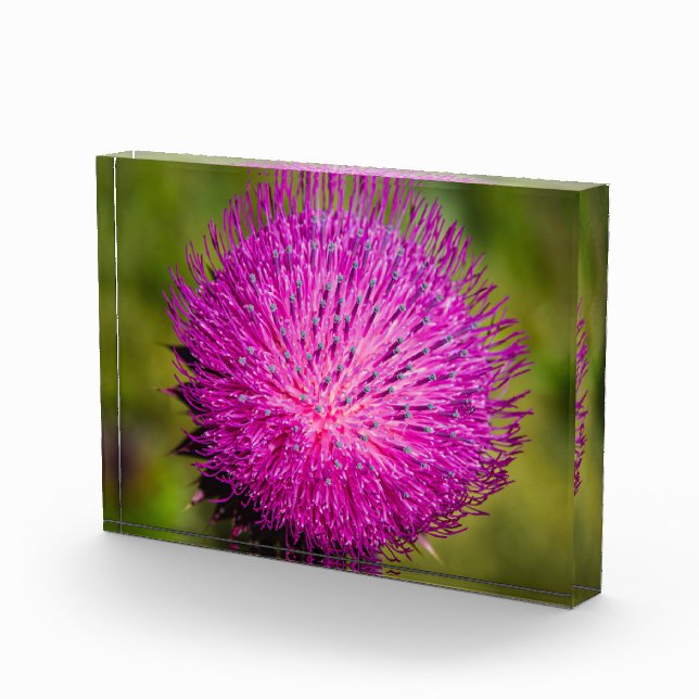 Bloque Para Fotos Leche con el cardo cerrado (Derecha)