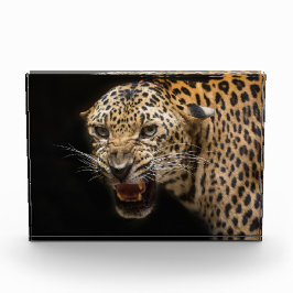 Bloque Para Fotos Leopardo furioso