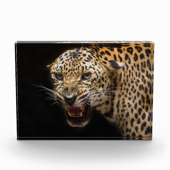 Bloque Para Fotos Leopardo furioso (Anverso)