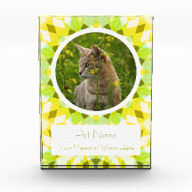 Lindo Verde Amarillo Mascota Gato Perro Recuerdo M