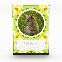 Bloque Para Fotos Lindo Verde Amarillo Mascota Gato Perro Recuerdo M