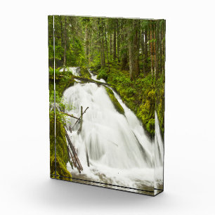 Bloque Para Fotos Little Zig Zag Falls Bosque nacional Mount Hood