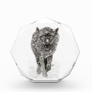 Bloque Para Fotos Lobo negro enojado en la nieve, invierno salvaje