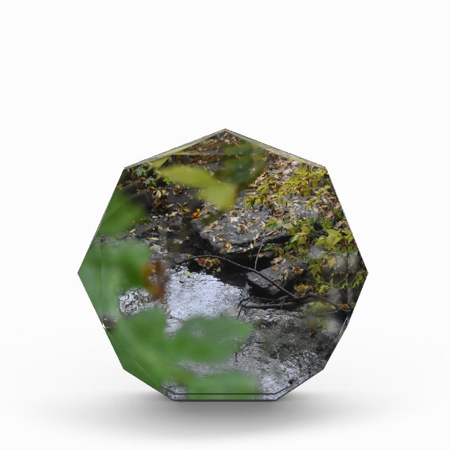 Bloque Para Fotos Los encantos de la Tierra (Anverso)