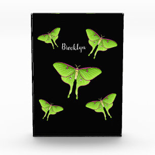 Bloque Para Fotos Luna Moth cartoon illustration  