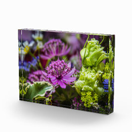 Bloque Para Fotos Magia exquisita de las flores #1