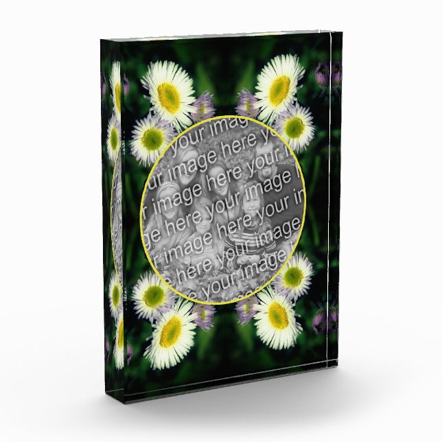 Bloque Para Fotos Marco de Flor Daisy Fleabane Wild (Izquierda)