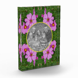 Bloque Para Fotos Marco de flores Cosmos rosadas Añadir