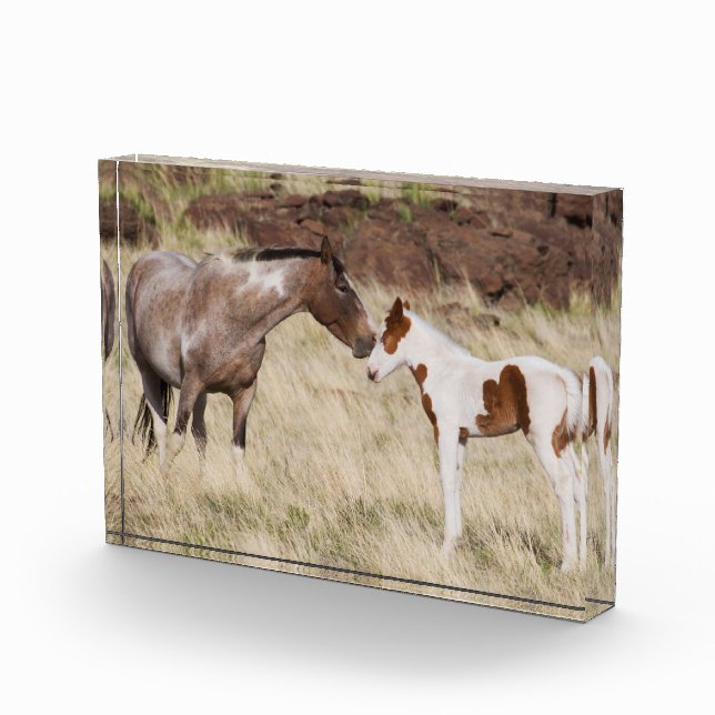 Bloque Para Fotos Mare con Colt (Derecha)