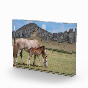 Bloque Para Fotos Mare y Colt en el cráter volcánico de Rano Raraku