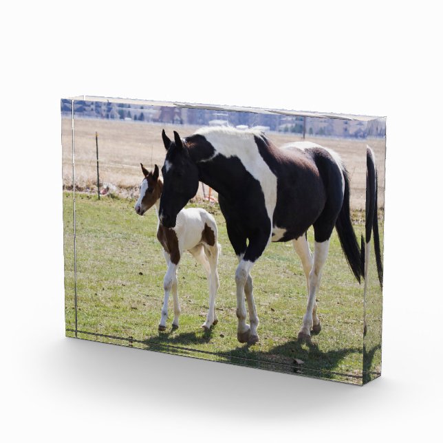 Bloque Para Fotos Mare y Filly Walking (Derecha)