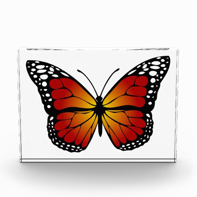 Bloque Para Fotos Mariposa (Anverso)