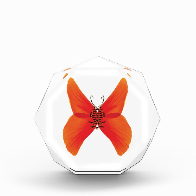 Bloque Para Fotos Mariposa de amapola roja naranja con su nombre (Anverso)