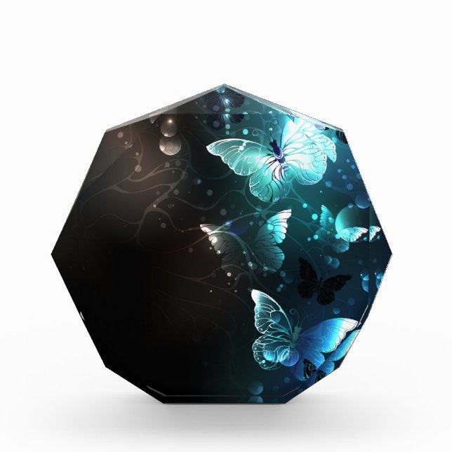 Bloque Para Fotos Mariposas nocturnas (Anverso)