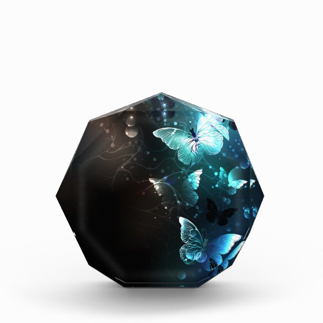 Bloque Para Fotos Mariposas nocturnas (Anverso)