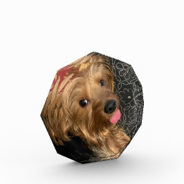 Bloque Para Fotos Mascota familiar personalizado Boda Vacaciones par