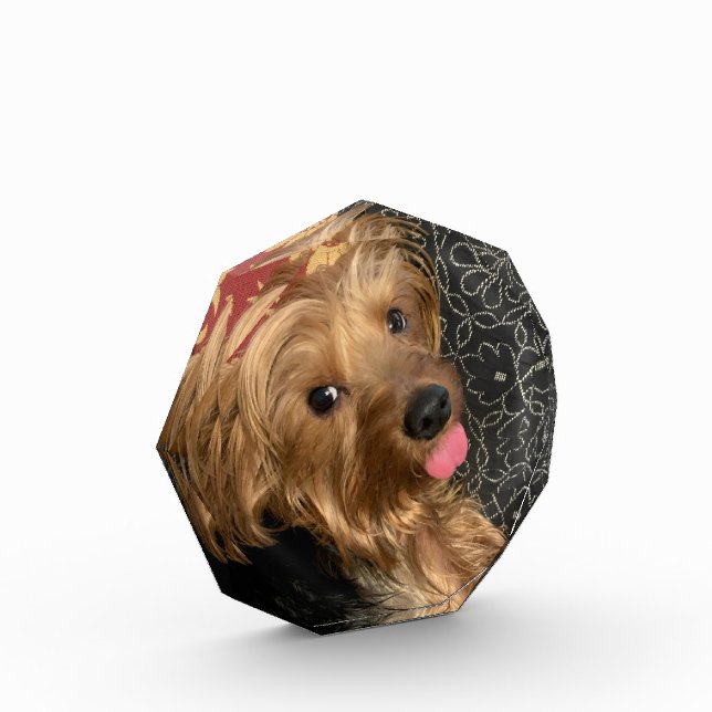 Bloque Para Fotos Mascota familiar personalizado Boda Vacaciones par (Izquierda)