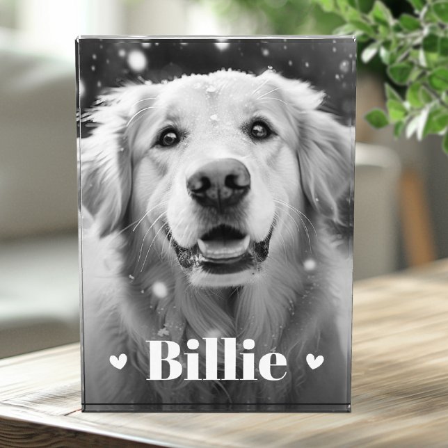 Bloque Para Fotos Mascota gato nombre corazones (Pet dog cat name hearts photo block)