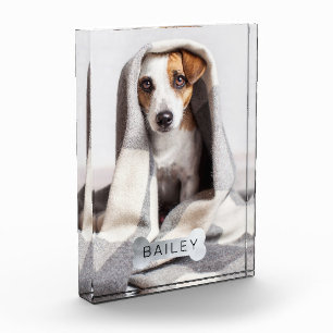 Bloque Para Fotos Mascota Mínimo Moderno Faux Silver Dog Bone