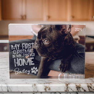 Bloque Para Fotos Mascota Primera Navidad Por Siempre Casa Moderno G