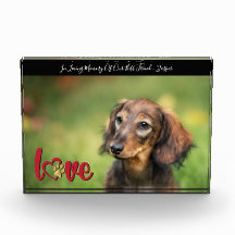 Mascota Simpatía Corazón Paw Memoria de impresión 