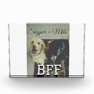 Bloque Para Fotos Mascotas amigos bestias agregar nombre mascota fot
