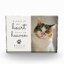 Mi corazón vive en el cielo Gato crema Memorial