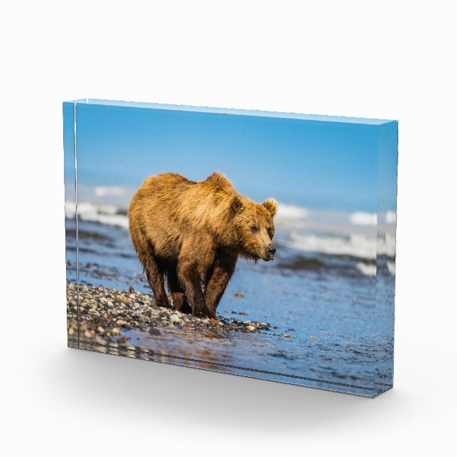 Bloque Para Fotos Mi mamá oso viendo a sus dos hijos (Derecha)